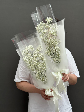 Комплимент №31